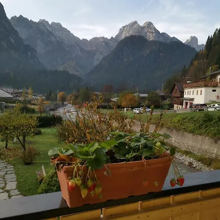 All'amicizia Santo Stefano Di Cadore